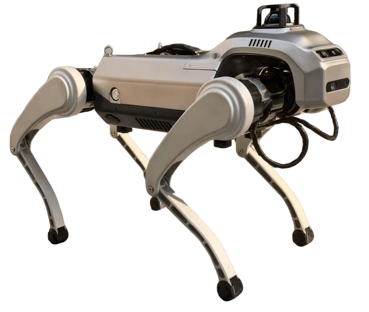 Quadruped
X1