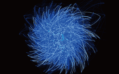 Blue Cornflower