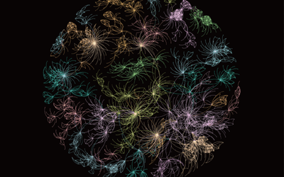 Transaction Fireworks